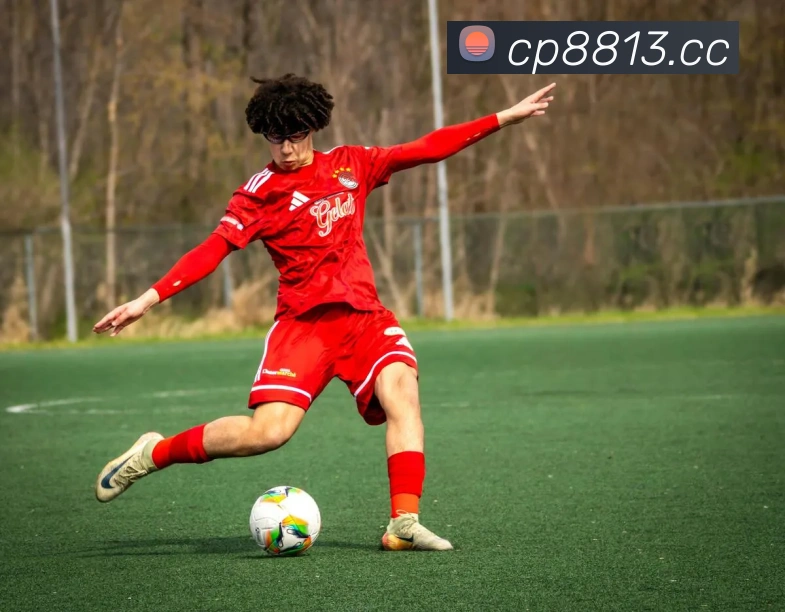 网上购彩票服务体系